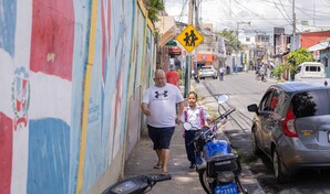Escuela Rep&uacute;blica de Chile espera desde hace meses retiro de &aacute;rbol que afecta pared