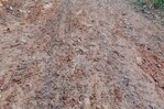 Comunidad de Dajabón denuncia un siglo de abandono y exige calles dignas Comunidad de Dajabón denuncia un siglo de abandono y exige calles dignas