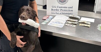 Perro polic&iacute;a detecta 19,000 d&oacute;lares no declarados en equipaje de pareja que viajaba a RD