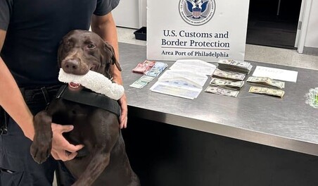 Perro polic&iacute;a detecta 19,000 d&oacute;lares no declarados en equipaje de pareja que viajaba a RD