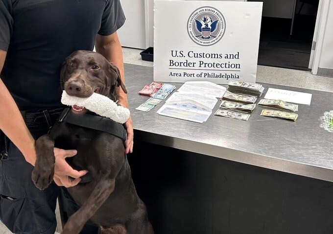 Perro polic&iacute;a detecta 19,000 d&oacute;lares no declarados en equipaje de pareja que viajaba a RD