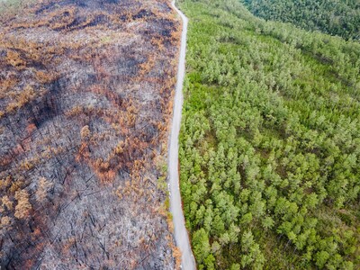 Observatorio pide resultados concretos sobre "terrorismo ambiental"