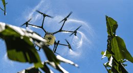 Tecnolog&iacute;a, capacitaci&oacute;n y relevo generacional: principales necesidades del sector agropecuario