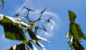 Tecnolog&iacute;a, capacitaci&oacute;n y relevo generacional: principales necesidades del sector agropecuario
