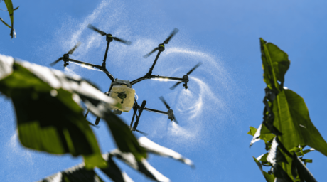 Tecnolog&iacute;a, capacitaci&oacute;n y relevo generacional: principales necesidades del sector agropecuario