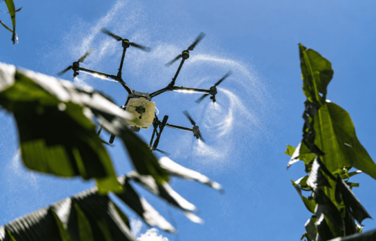 Tecnolog&iacute;a, capacitaci&oacute;n y relevo generacional: principales necesidades del sector agropecuario