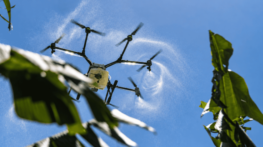 Tecnolog&iacute;a, capacitaci&oacute;n y relevo generacional: principales necesidades del sector agropecuario