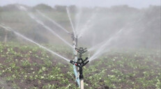 La sequ&iacute;a golpea al sector agropecuario y comienza a presionar a los productores