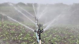 La sequ&iacute;a golpea al sector agropecuario y comienza a presionar a los productores
