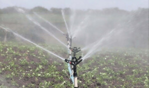 La sequ&iacute;a golpea al sector agropecuario y comienza a presionar a los productores