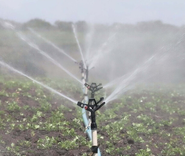 La sequ&iacute;a golpea al sector agropecuario y comienza a presionar a los productores