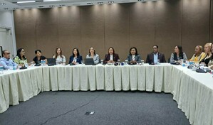 19 iniciativas de violencia de g&eacute;nero que perimieron en el Congreso son agrupadas en la Ley Mirabal