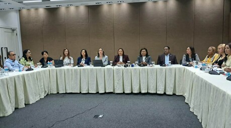 19 iniciativas de violencia de g&eacute;nero que perimieron en el Congreso son agrupadas en la Ley Mirabal
