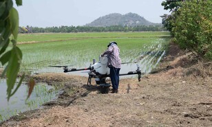 El futuro del campo dominicano se cultiva con conocimiento