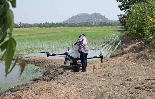 El futuro del campo dominicano se cultiva con conocimiento