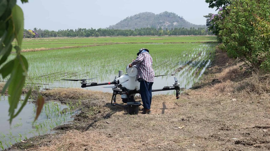 El futuro del campo dominicano se cultiva con conocimiento