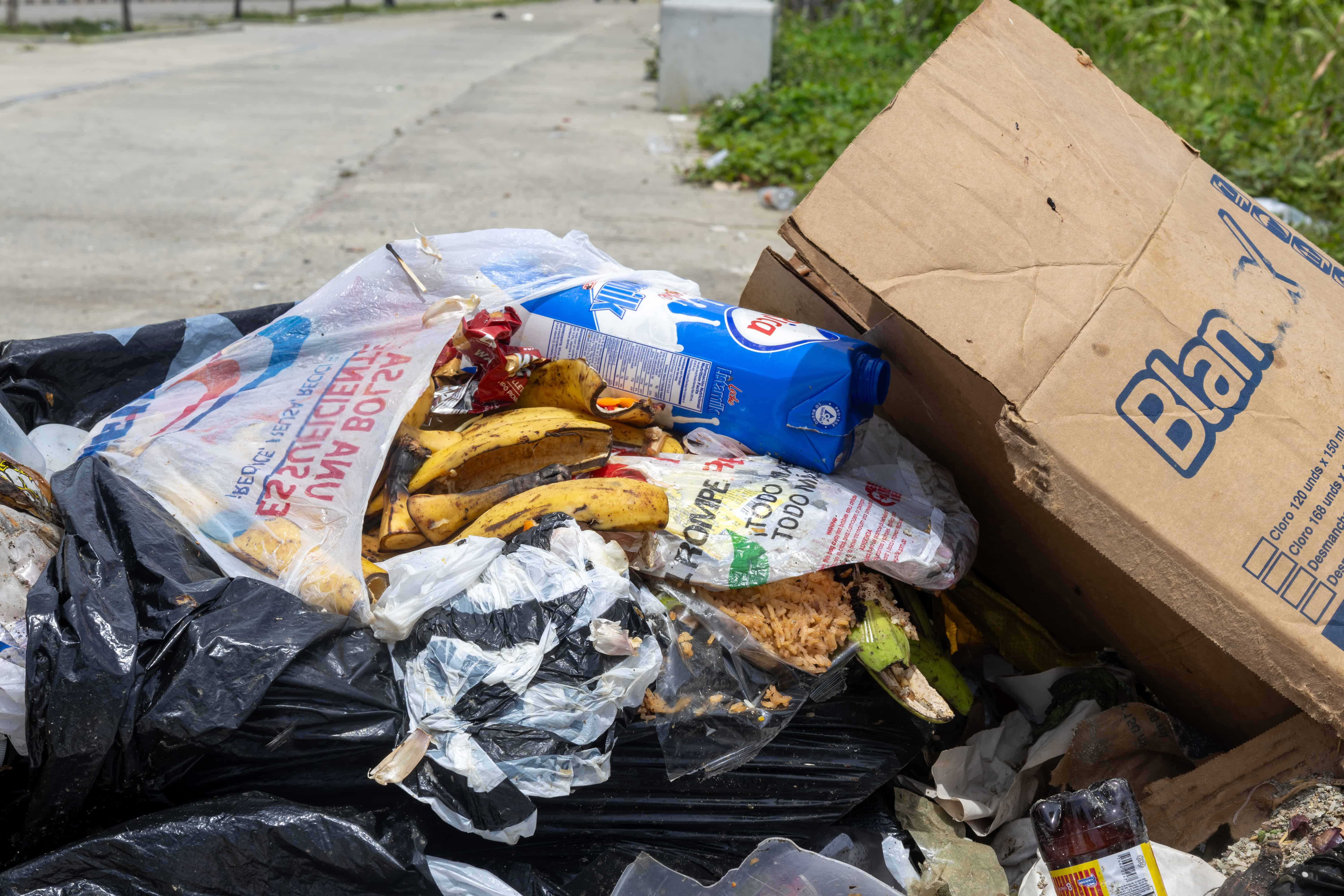 Parte de la basura orgánica que se produce en La Ciénaga.