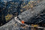 Incendio arrasa 3,000 hect&aacute;reas de bosque, redes de agua y cultivos en norte de Colombia