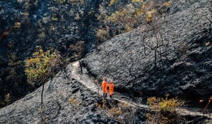 Incendio arrasa 3,000 hect&aacute;reas de bosque, redes de agua y cultivos en norte de Colombia