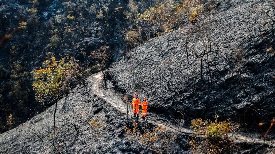 Incendio arrasa 3,000 hectáreas de bosque, redes de agua y cultivos en norte de Colombia
