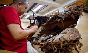 Lo que mueve el tabaco