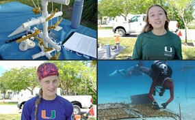 Cient&iacute;ficos de Florida buscan corales resistentes al calor ante el cambio clim&aacute;tico