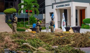 &iquest;Cu&aacute;ntas personas han sido arrestadas por plantaciones de marihuana en lo que va de 2026?