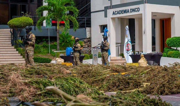&iquest;Cu&aacute;ntas personas han sido arrestadas por plantaciones de marihuana en lo que va de 2026?