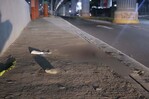 Matan hombre de un disparo para robarle motocicleta en la autopista Duarte Matan hombre de un disparo para robarle motocicleta en la autopista Duarte