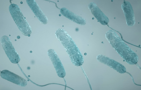 Detectan bacteria Legionella en el Yankee Stadium y otros nueve edificios en El Bronx