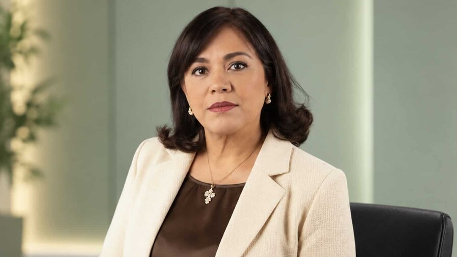 Carta al director: Josefina Reynoso apoya artículo de Diario Libre El gatillo como argumento