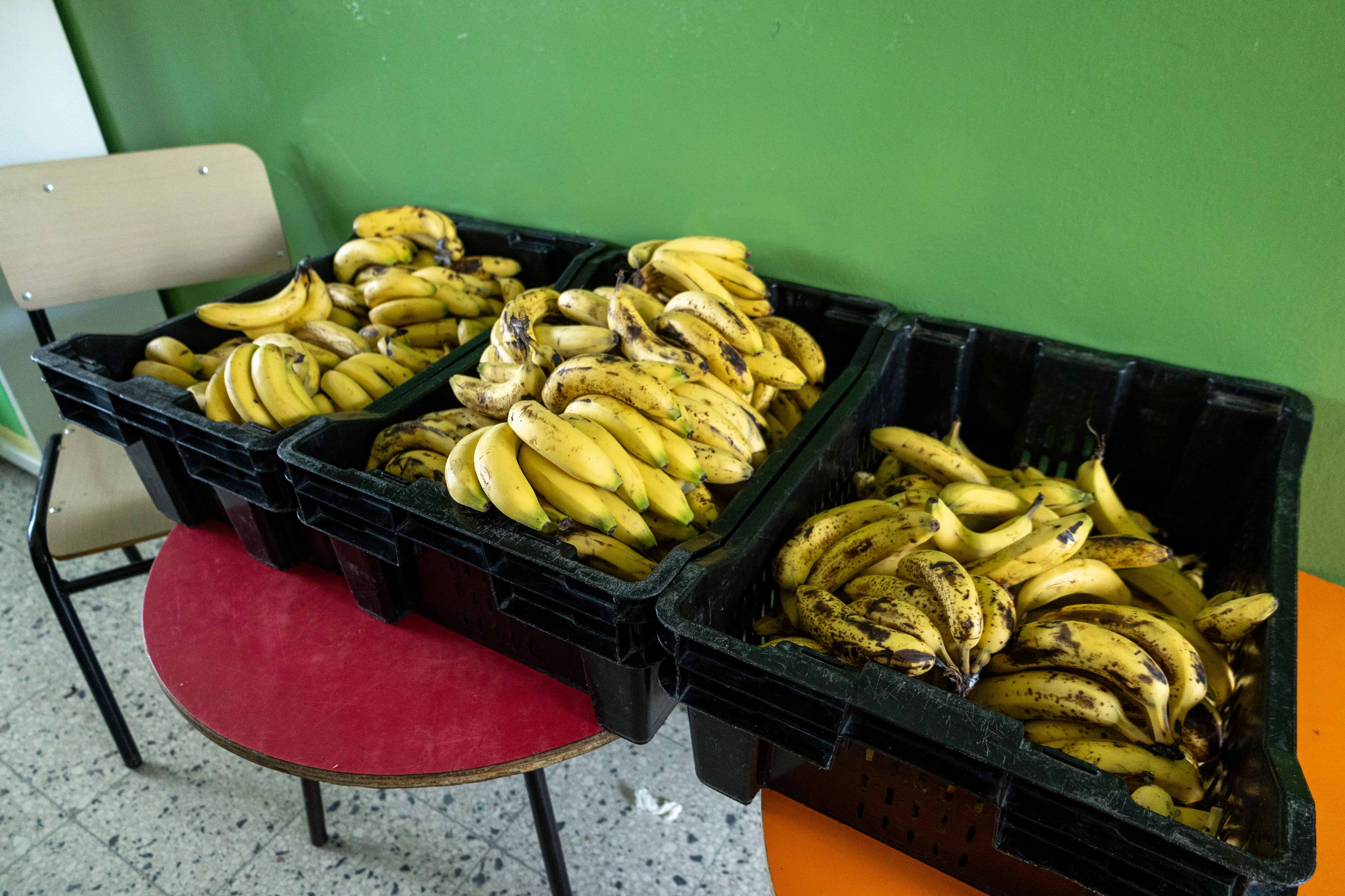 Los guineos maduros que son incluidos en el menú escolar.