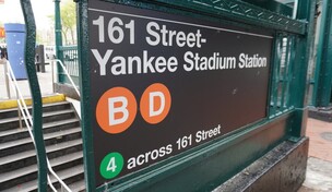 Bacteria hallada en torre de enfriamiento del Yankee Stadium no est&aacute; vinculada al brote de El Bronx