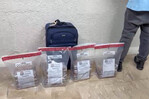 Arrestan a canadiense con 14 paquetes de presunta cocaína en el Aeropuerto de Punta Cana Arrestan a canadiense con 14 paquetes de presunta cocaína en el Aeropuerto de Punta Cana