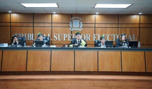 El PLD gana una batalla, pero impugnaci&oacute;n contra su consulta se mantiene en el TSE