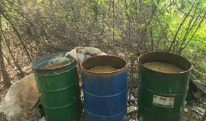 Decomisan m&aacute;s de 10,000 litros de bebidas alcoh&oacute;licas adulteradas en Azua