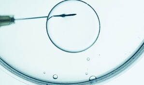 Padres demandan a cl&iacute;nica de fertilidad en EE. UU. al descubrir que su hija es de otro hombre
