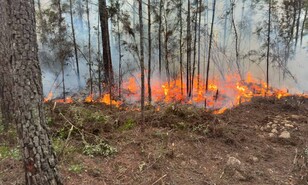 Lluvias ayudaron a controlar incendio forestal en Pelempito y Aceitillar