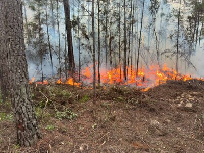 Situación del incendio forestal en Sierra de Bahoruco