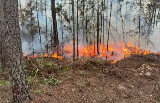 Fuego en la Sierra de Bahoruco afect&oacute; unos 18 km&sup2;, casi una quinta parte del Distrito Nacional