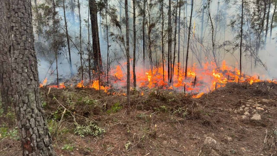 Lluvias ayudaron a controlar incendio forestal en Pelempito y Aceitillar Lluvias ayudaron a controlar incendio forestal en Pelempito y Aceitillar