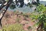 Sociedad Ecológica de Paraíso denuncia talas en cuenca del río Nizaíto mientras se proyectan presas Sociedad Ecológica de Paraíso denuncia talas en cuenca del río Nizaíto mientras se proyectan presas