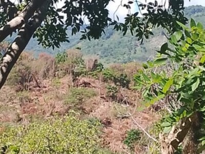 Presas en río Nizaíto y su impacto ambiental