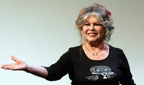 La subasta de casi 300 objetos de Brigitte Bardot roza el mill&oacute;n de euros en Par&iacute;s