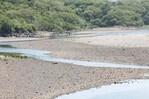 El Niño se intensificará hasta alcanzar su máximo en diciembre, alerta la ONU