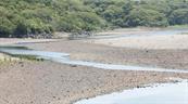 Evento extremo de El Ni&ntilde;o causar&iacute;a p&eacute;rdida de al menos 2 % del PIB regional, seg&uacute;n Cepal