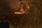 Reportan nuevo incendio en la Laguna de Cabarete Reportan nuevo incendio en la Laguna de Cabarete