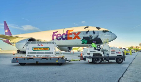 Una pareja de pandas llega al zool&oacute;gico de Atlanta tras la cumbre de Trump y Xi