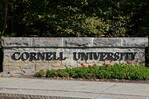Una presunta violación grupal en una universidad de EE. UU. causa indignación Una presunta violación grupal en una universidad de EE. UU. causa indignación