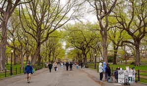 Mujer de 63 a&ntilde;os muere golpeada en Central Park; arrestan a un sospechoso por homicidio